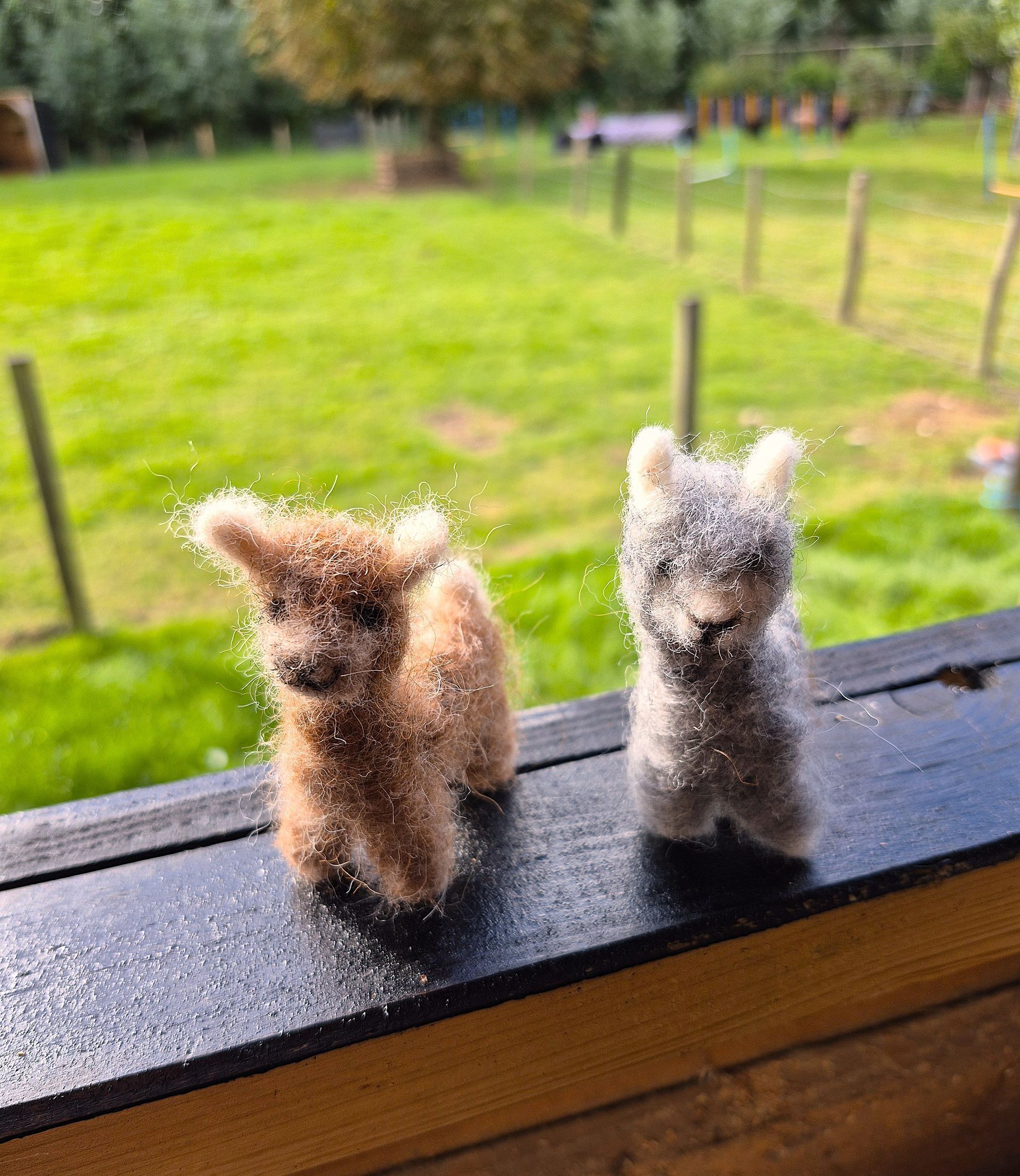 Twee naaldgevilte alpaca's, gemaakt met alpacawol tijdens een workshop Vilten met wol..