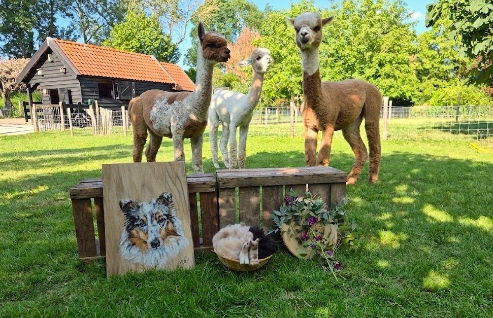 Creatieve workshops met natuurlijke materialen en alpaca-beleving in de Hoeksche Waard
