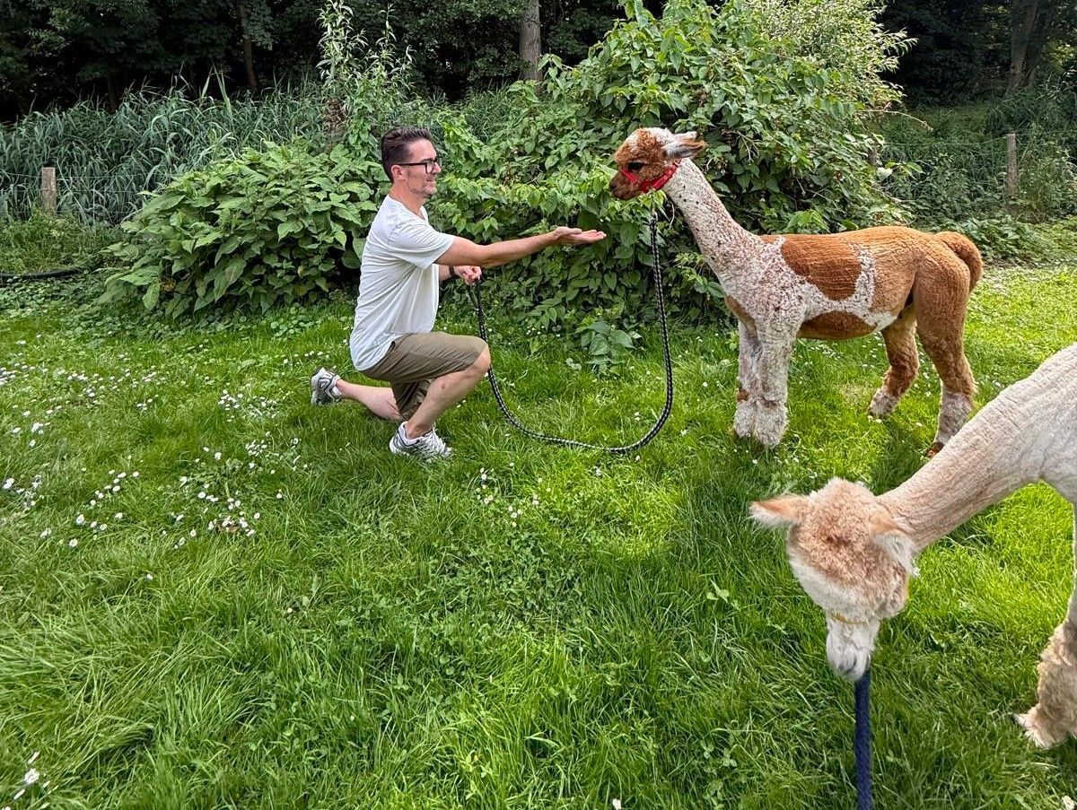 Een bezoeker maakt contact met onze alpaca's tijdens de Meet & Greet  bij Creatief uit eigen Tuin.