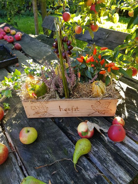 Herfstdecoratie in een houten kistje met een houtgebrand ontwerp, gemaakt tijdens een creatieve seizoensworkshop.