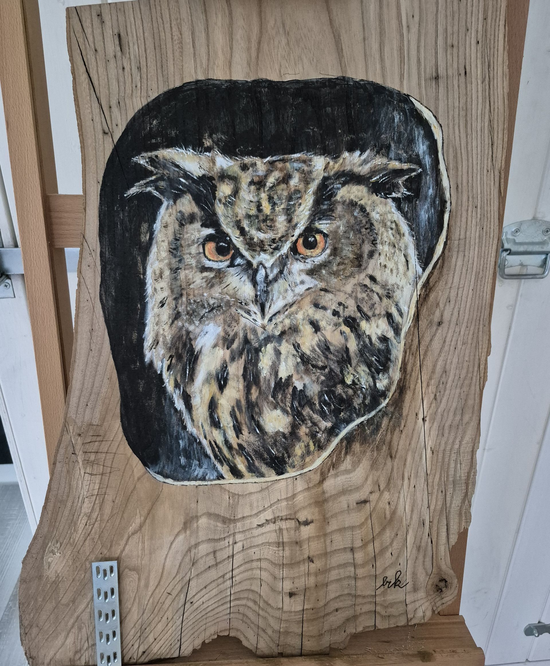 Geschilderde uil op karakteristiek Hoeksche Waards hout, gemaakt tijdens een schilderworkshop.