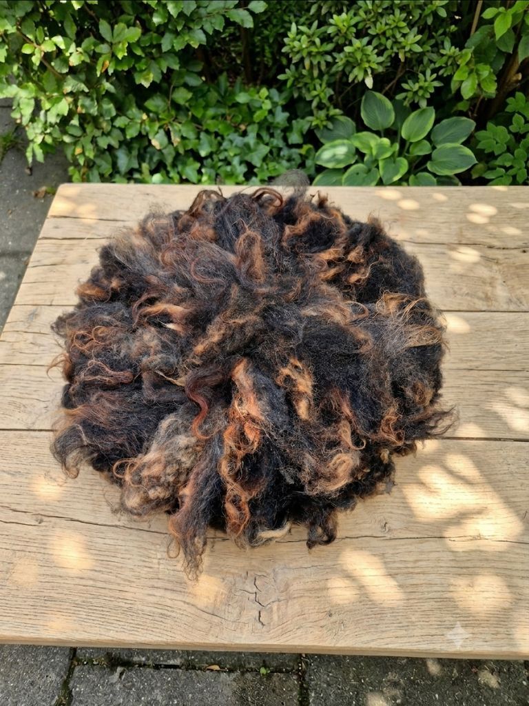 Een natgevilt vachtje, gemaakt van de wol van onze eigen oussantschaapjes.