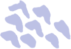 A purple silhouette of a cow print on a white background.