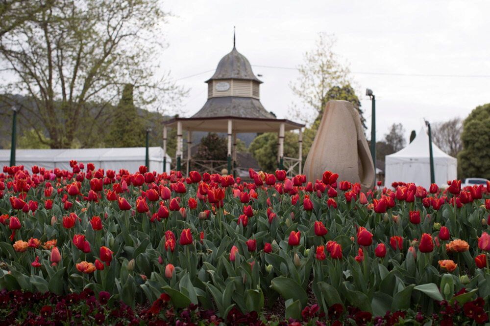 A Field Of Red Flowers With A Gazebo — Highlands Denture Clinic in Bowral, NSW