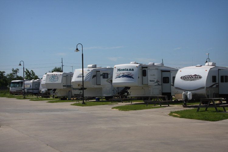 Line of parked RVs in a campground on a sunny day.