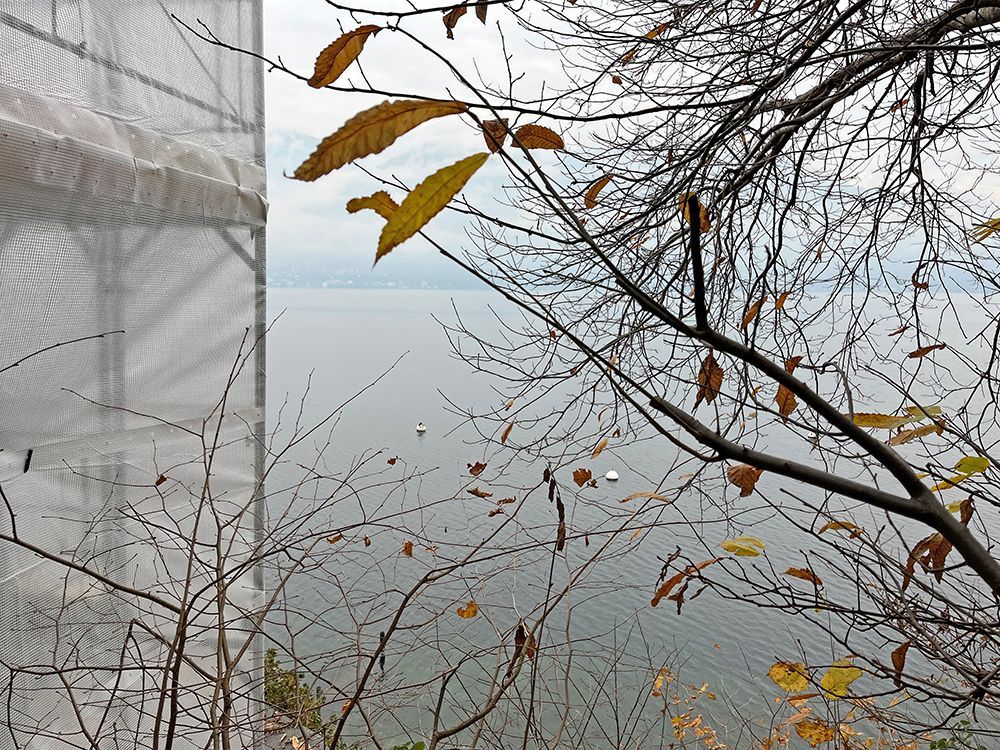 Interni moderni e minimalisti con chaise longue nera, pareti chiare e scaffalature integrate.