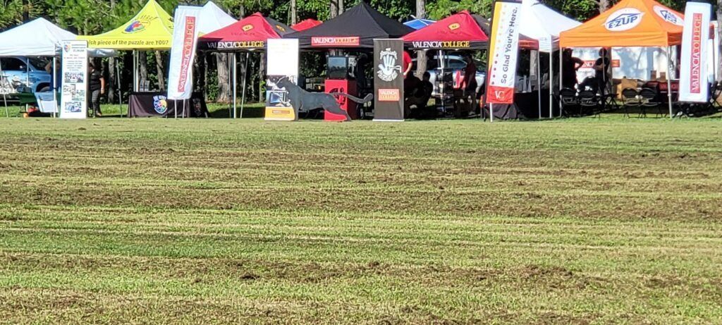 Tents set up on a grassy field, possibly at an outdoor event.