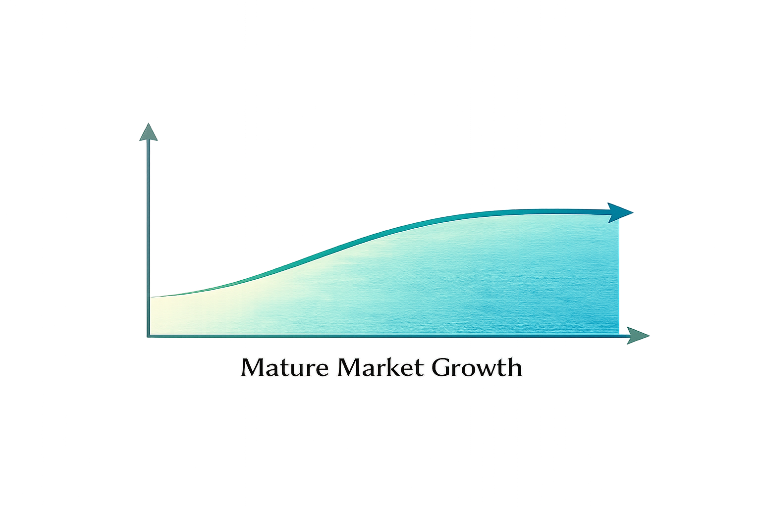 Graph illustrating a mature market growth curve with a slow initial rise leveling off to a plateau.