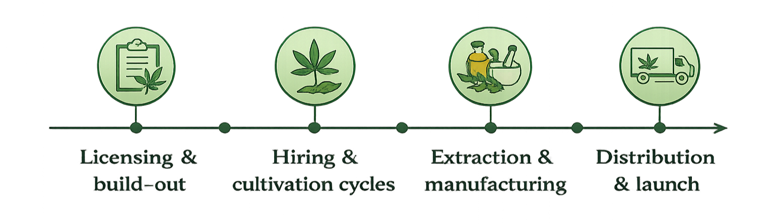 Process of cannabis production: Licensing, cultivation, extraction, and distribution.