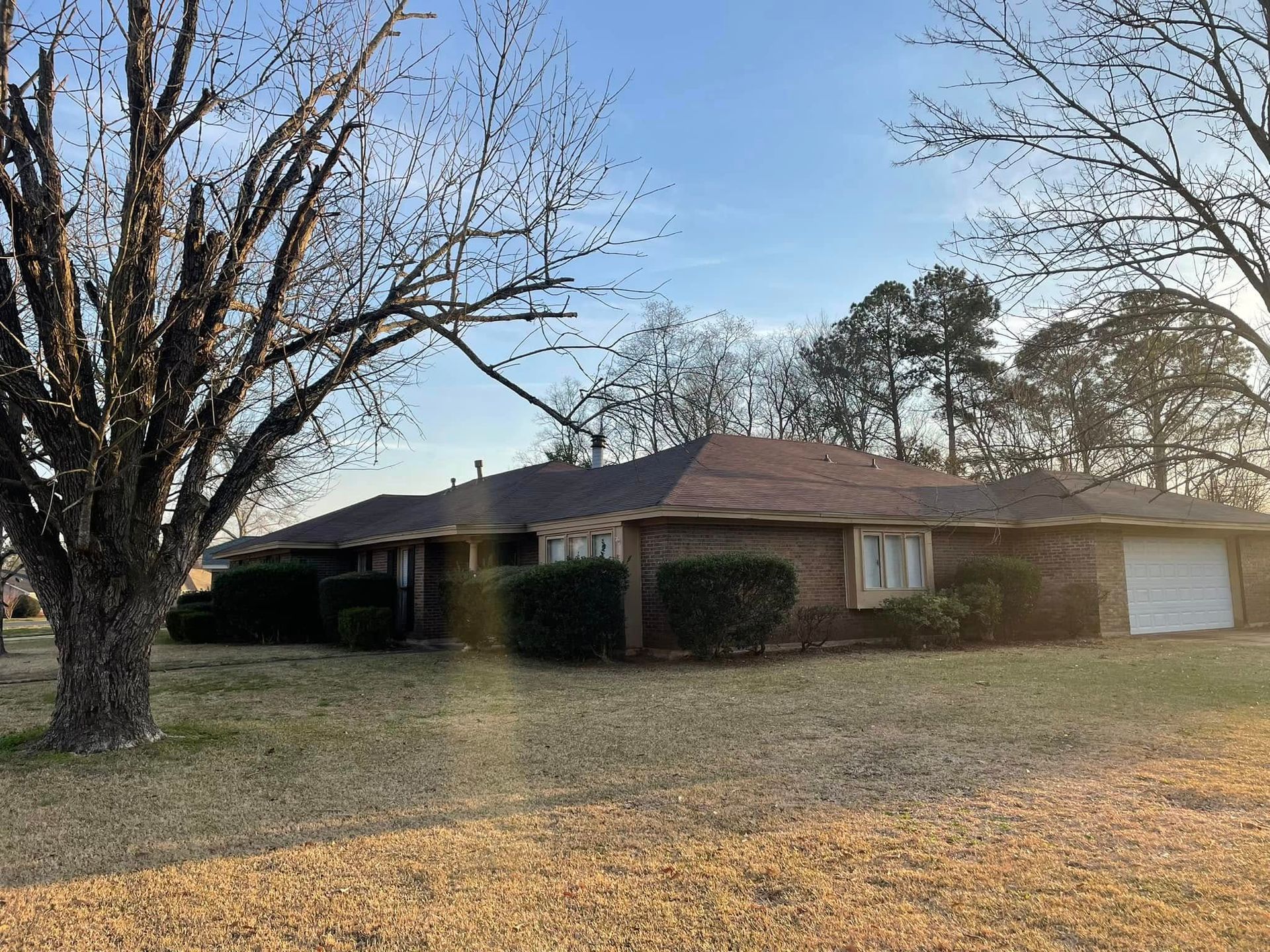 A house with a garage and a tree in front of it.