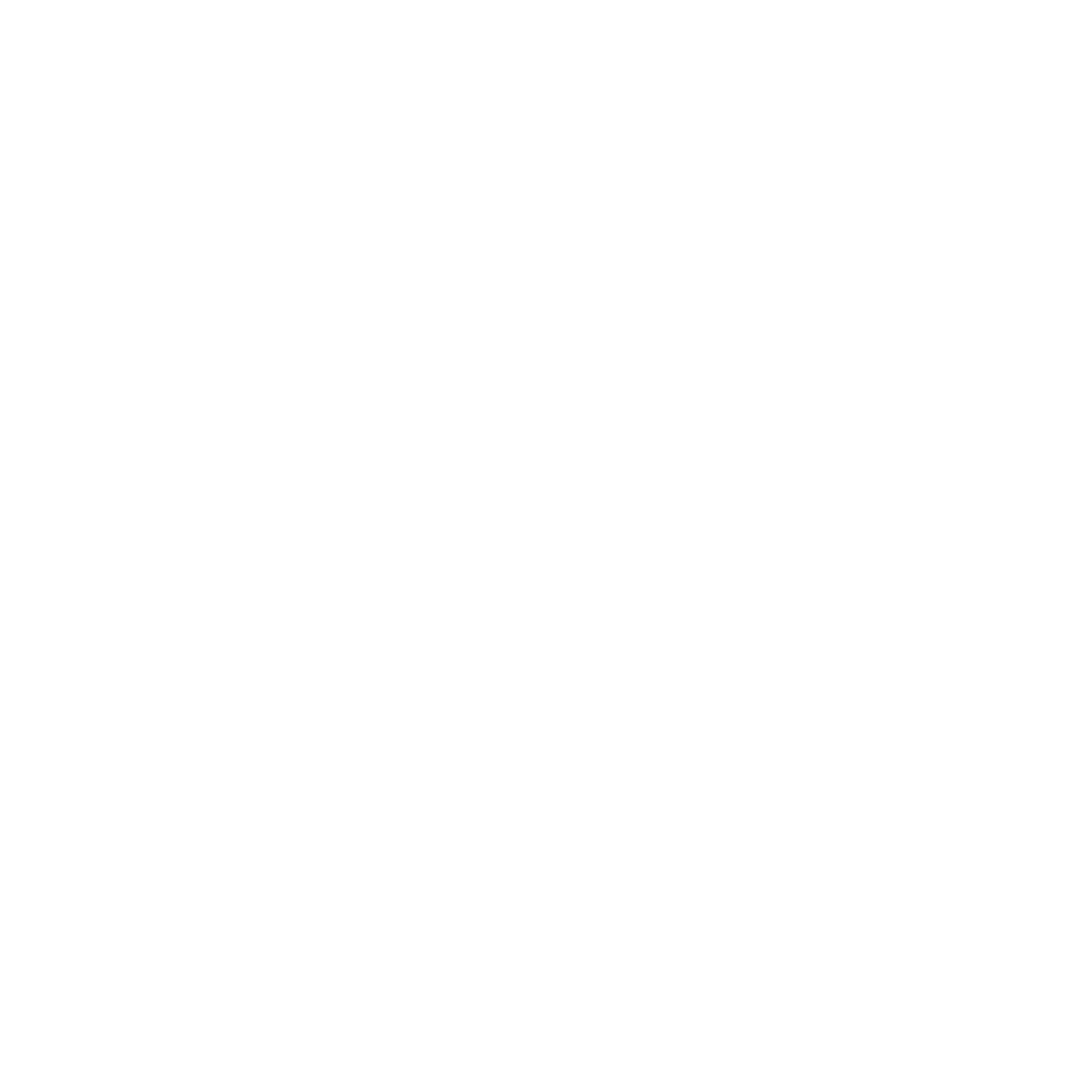 A white background with a Carlisle logo on it.