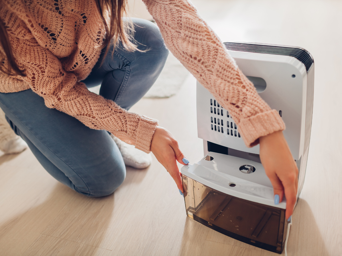 Woman removing the water tank from a dehumidifier on a wooden floor.