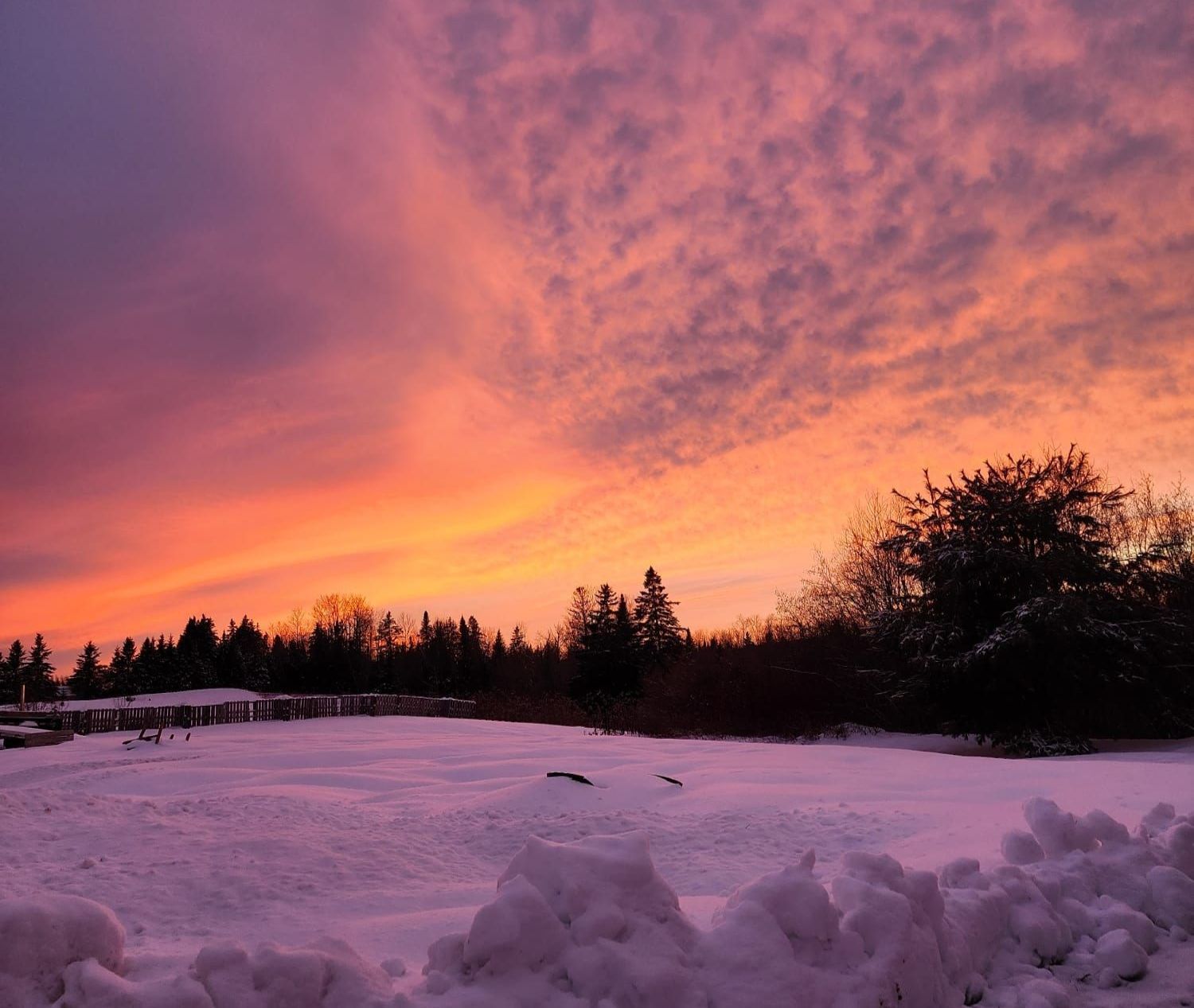 Happy Couple Looking for a Camping Site Happy Couple Looking for a Camping Site
