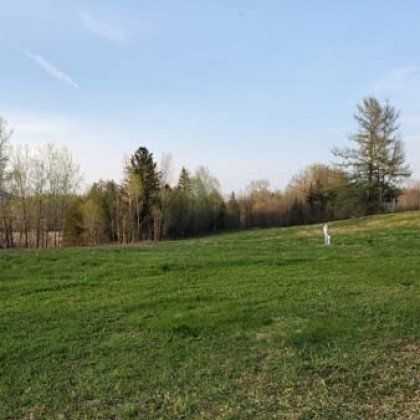 A large grassy field with trees in the background on a sunny day.