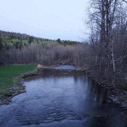A river flowing through a forest with trees on both sides