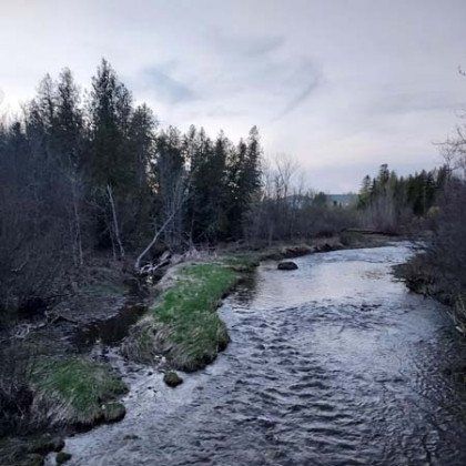 A river flowing through a forest with trees on both sides.