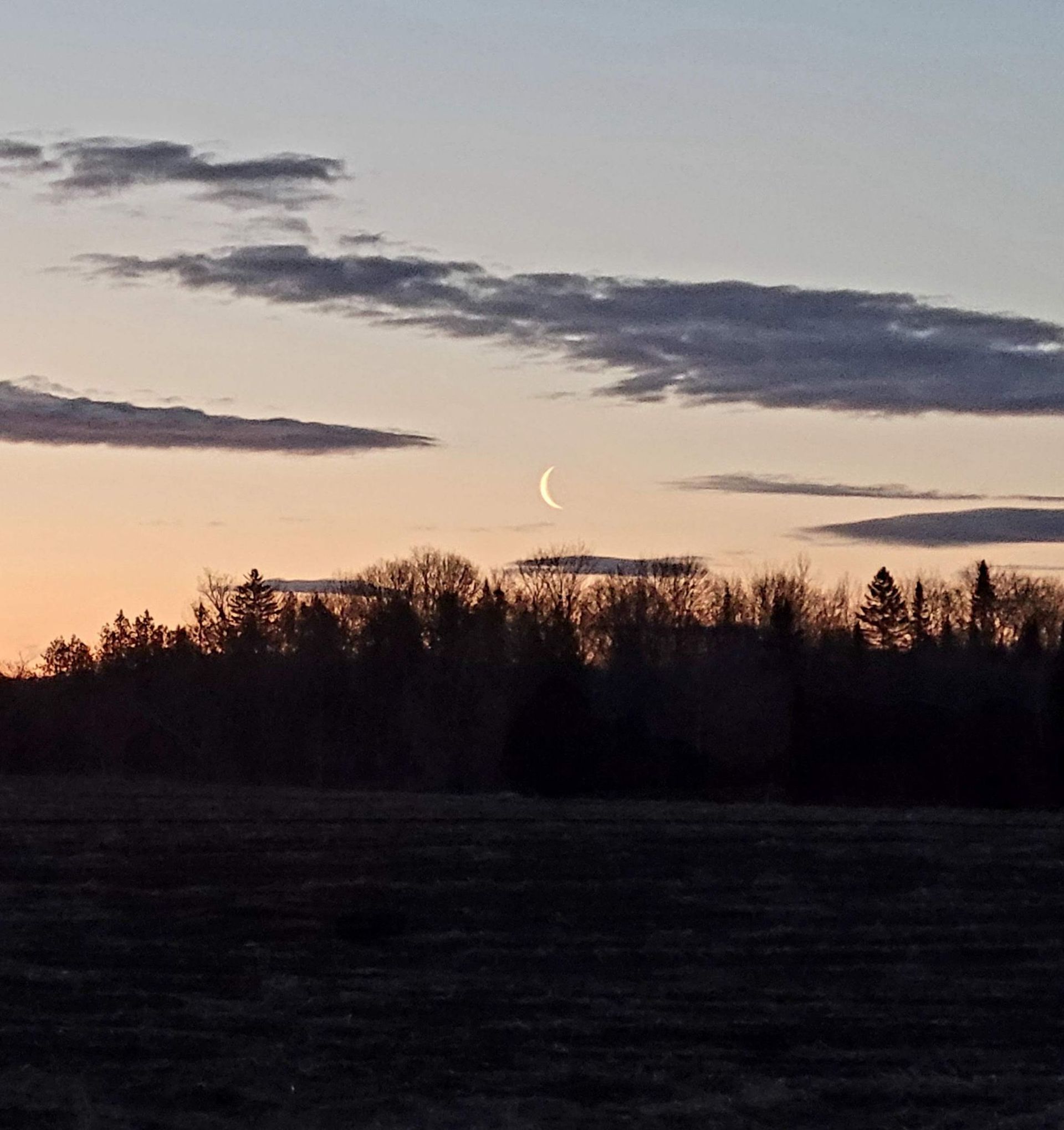 A sunset with a crescent moon in the sky