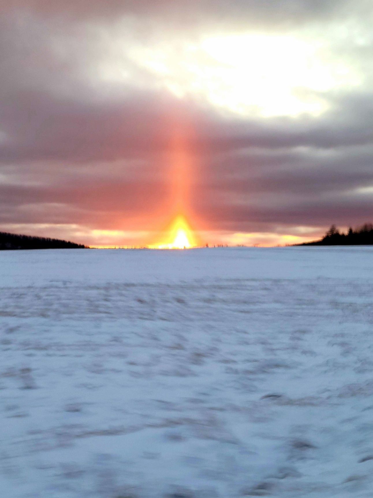The sun is setting over a snowy field