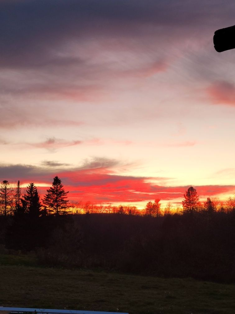 A sunset over a field with trees in the foreground
