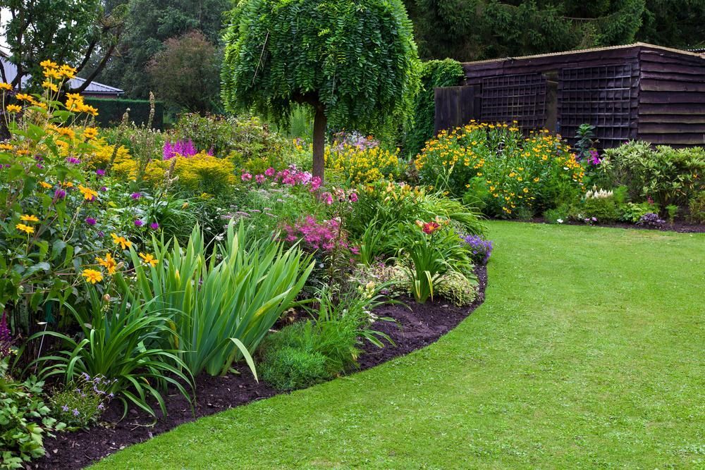 Flower Garden With Curved Lawn, Dense Shrubs, and a Wooden Shed — Toowoomba Lawn and Yard care In Westbrook, QLD