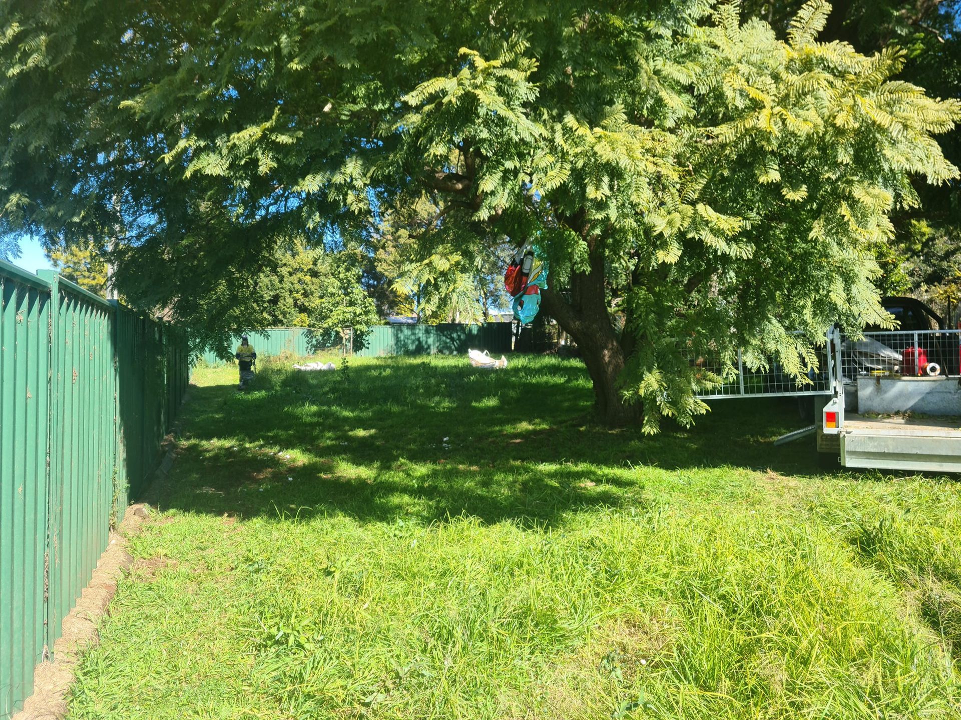 Grassy Yard Shaded by a Large Tree, With a Green Fence — Toowoomba Lawn and Yard care In Glenvale, QLD