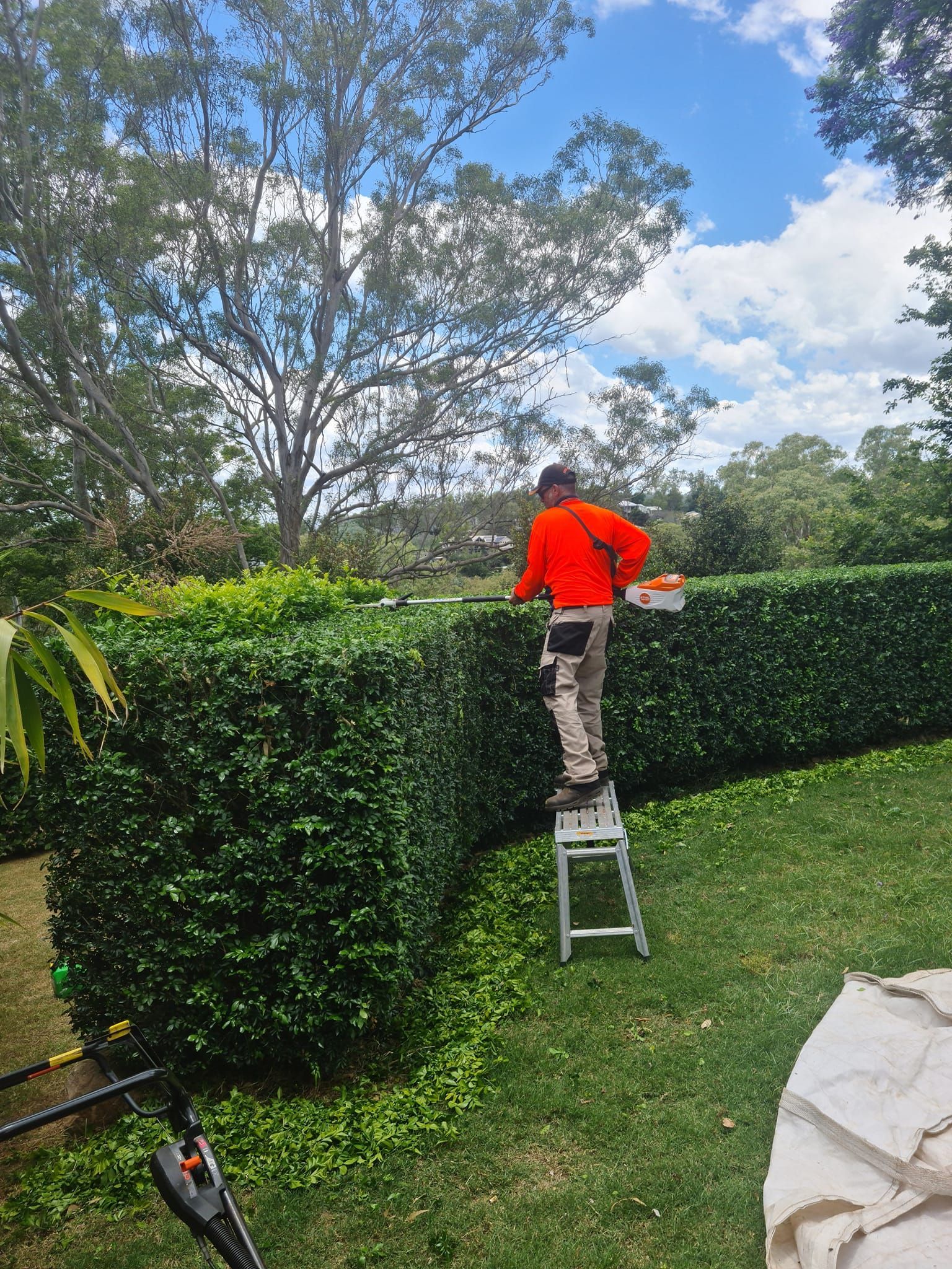 Person in a Red Shirt Standing on a Step Stool Trimming a Green Hedge — Toowoomba Lawn and Yard care In Glenvale, QLD