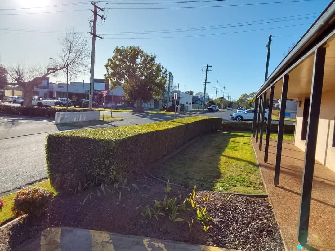 Sunlit Sidewalk Beside Trimmed Hedges and Storefronts — Toowoomba Lawn and Yard care In Glenvale, QLD
