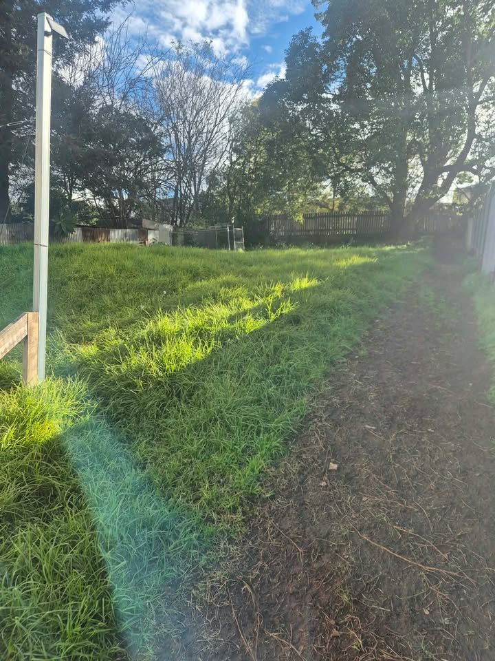 Sunlit Grassy Field With Trees, a Dirt Path, and a White Pole — Toowoomba Lawn and Yard care In Glenvale, QLD