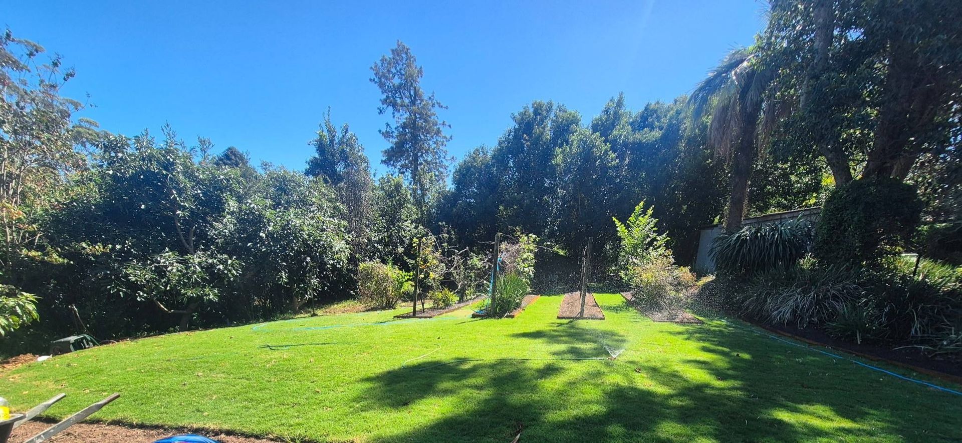 Sunny Garden With Green Lawn, and Trees — Toowoomba Lawn and Yard care In Glenvale, QLD