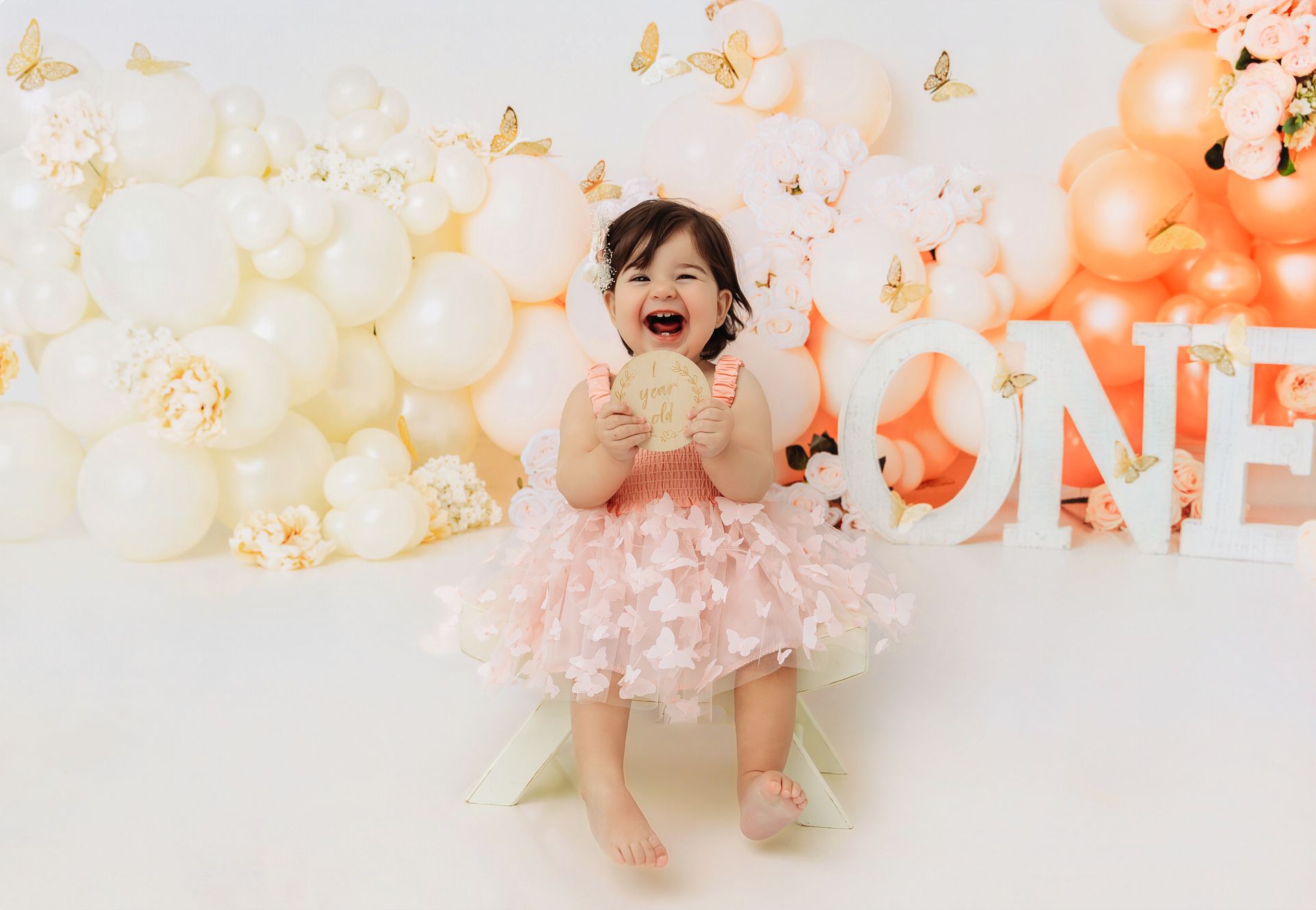 One year old Studio Butterflies themed cake smash session in Cary NC