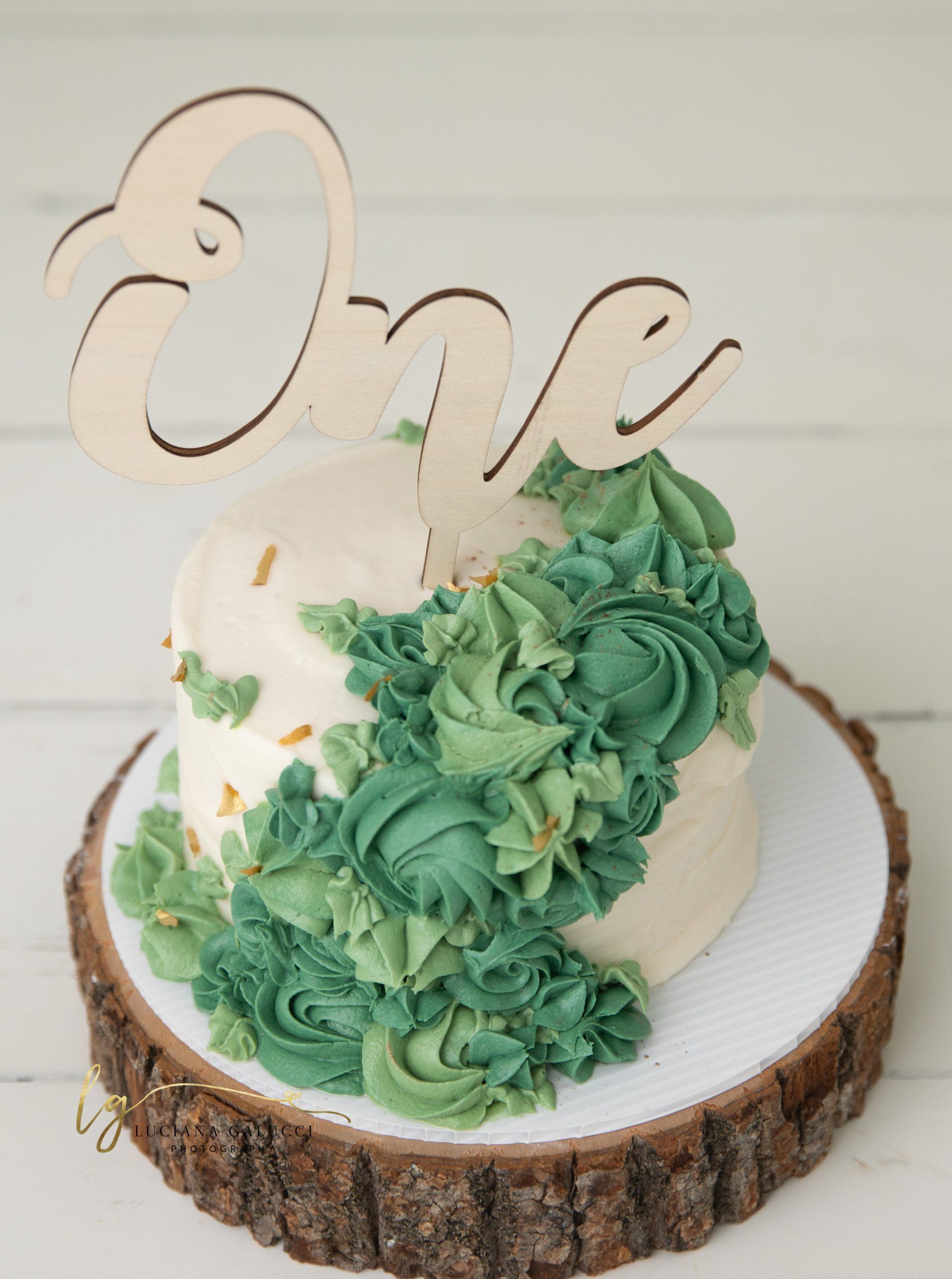 minimalist themed cake portraits for a cake smash session in studio - Cary NC