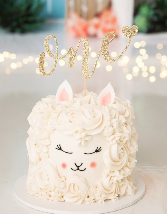 llama cake theme for a cake smash session in studio - Cary NC