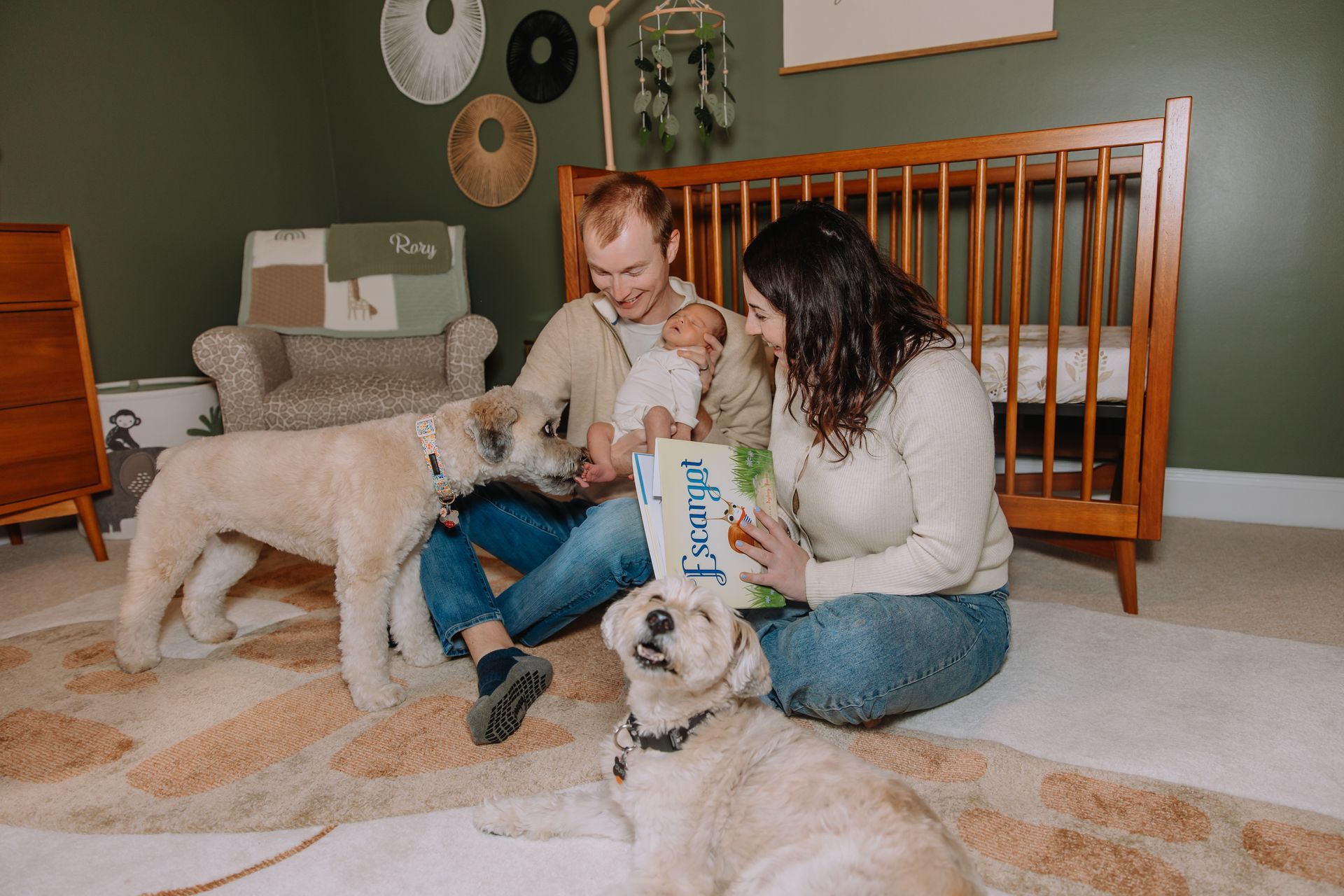Family dogs included in in-home newborn photography session in Raleigh, NC