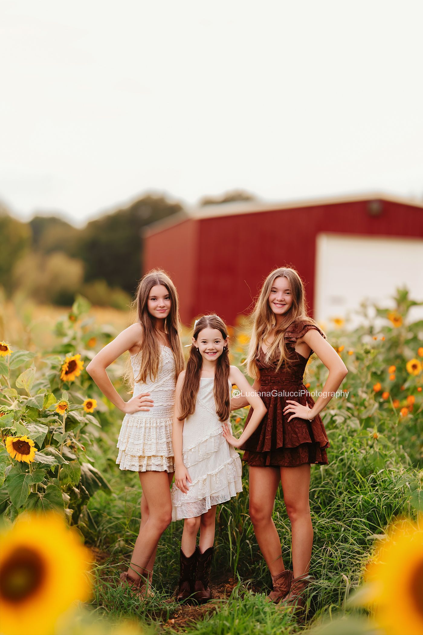 Siblings Posing  at sunflowers field in Raleigh, North Carolina.