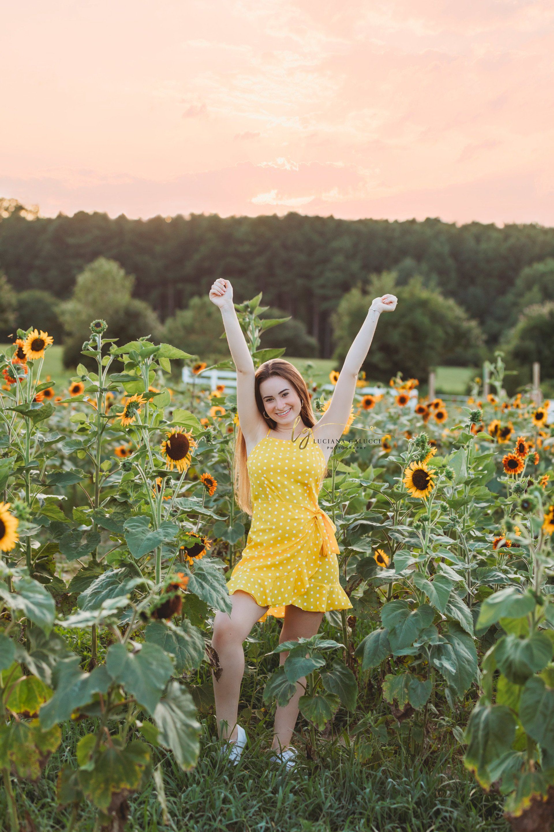 Golden hour senior portrait session in a sunflower field at Dix Park in Raleigh, North Carolina
