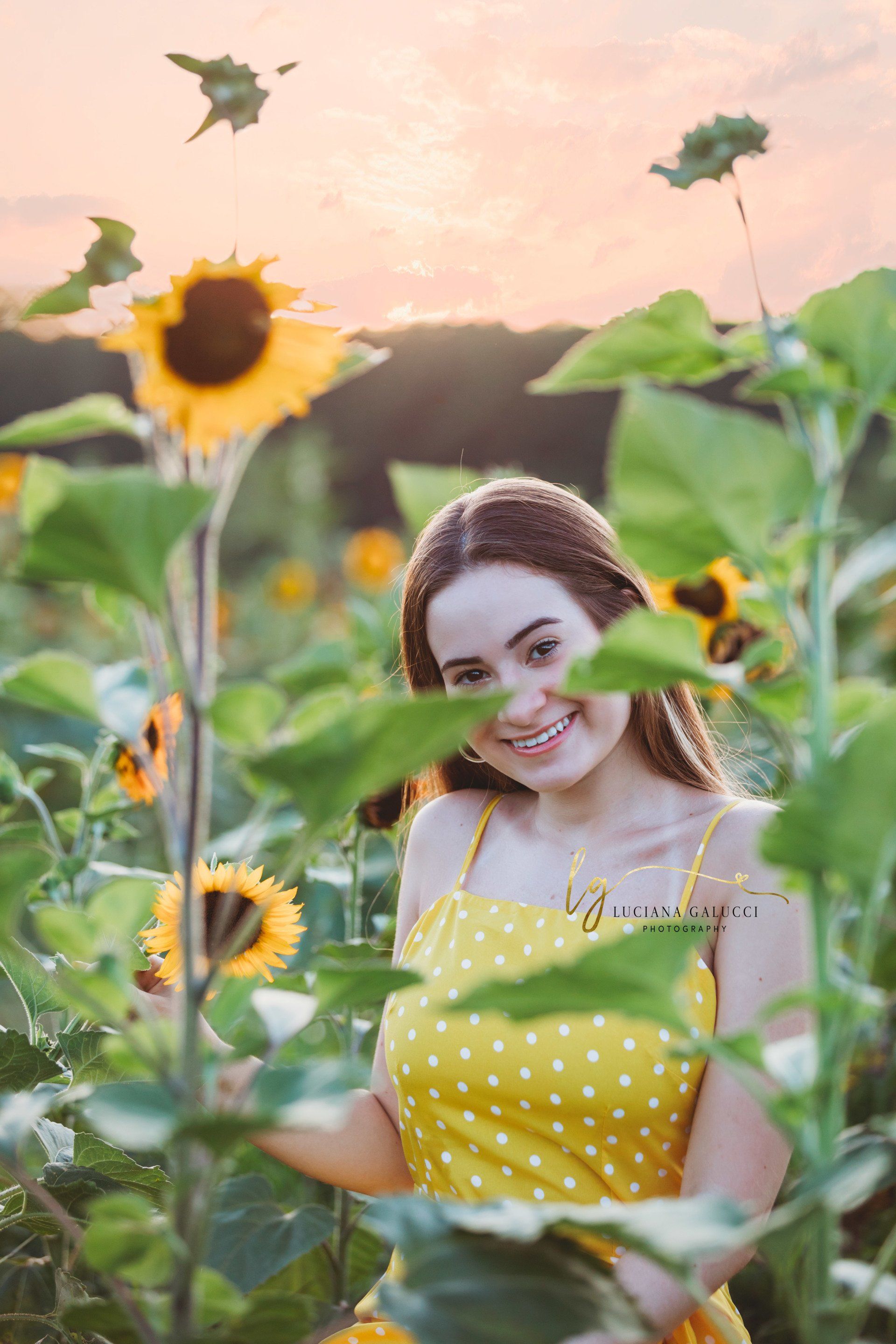 Golden hour senior portrait session in a sunflower field at Dix Park in Raleigh, North Carolina
