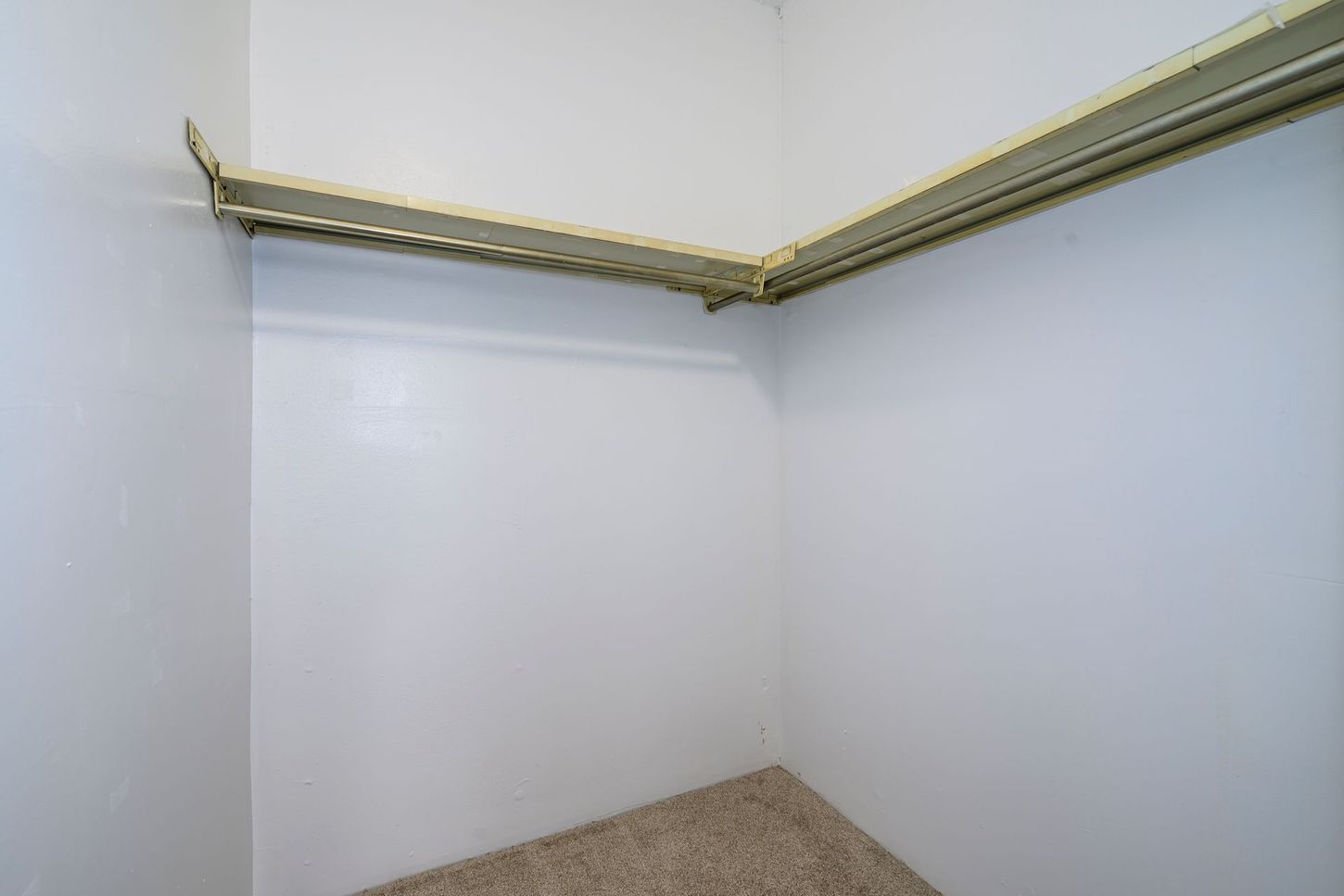 Empty white closet with beige carpet, a top shelf, and a hanging rod.
