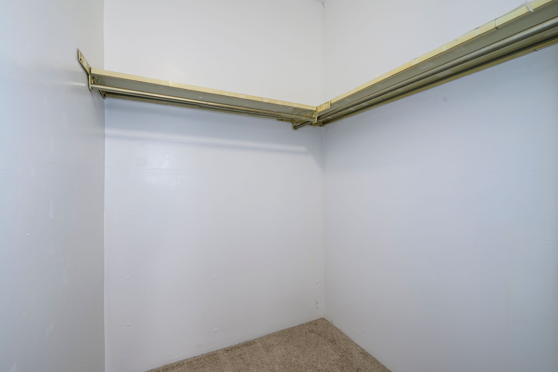 Empty white closet with beige carpet, a top shelf, and a hanging rod.