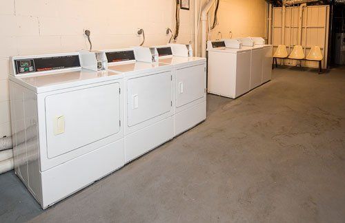 Dresden Forrest Laundry