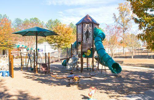 Dresden Forrest Playground