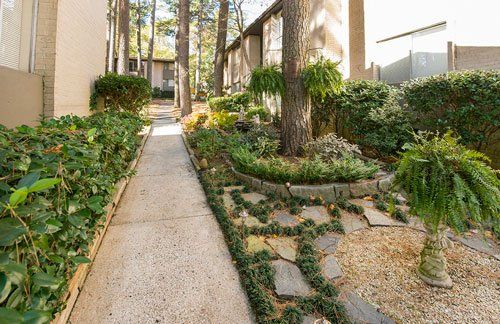 Dresden Forrest Outside Area