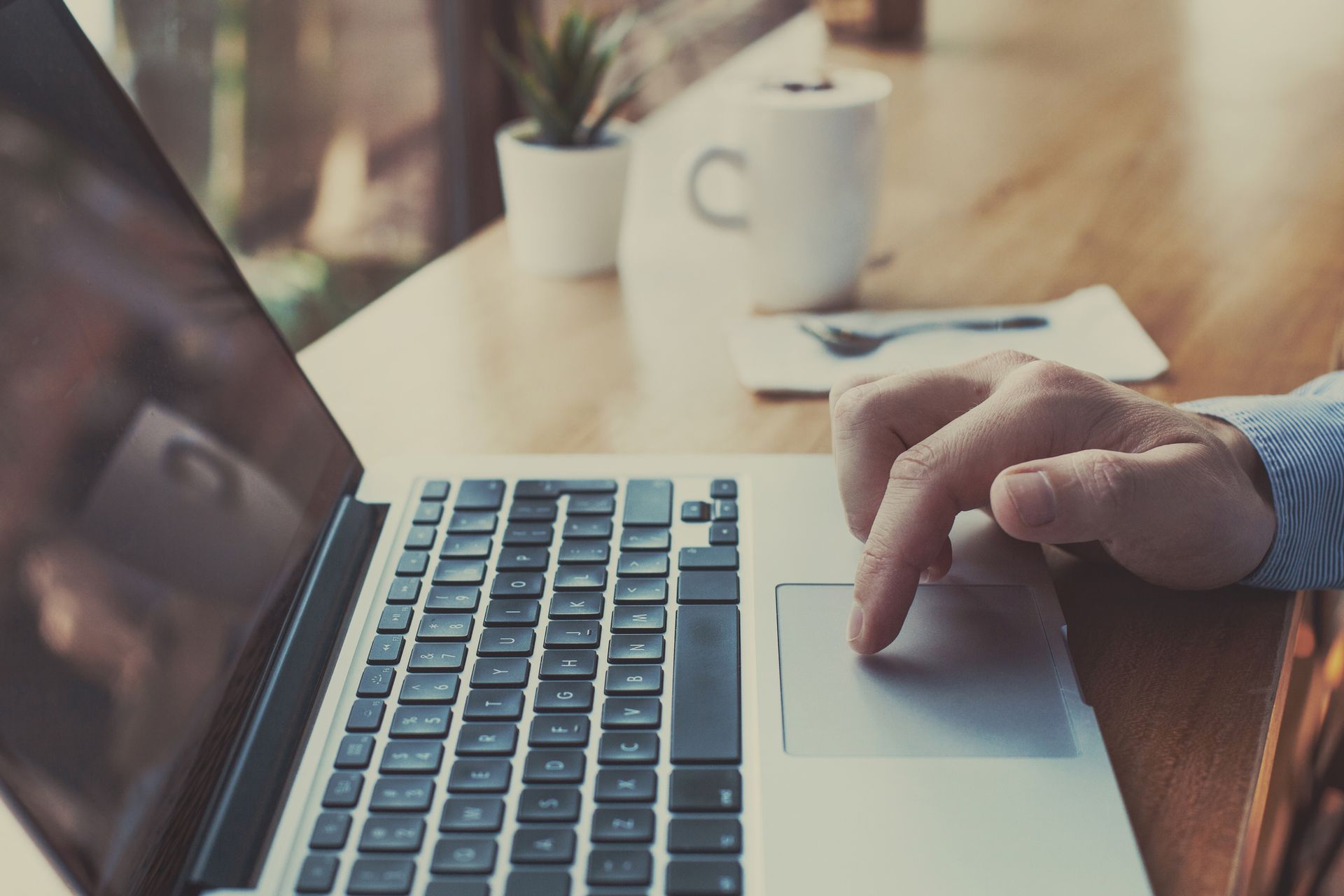 Person using a laptop at a table, with a mug and plant in the background.