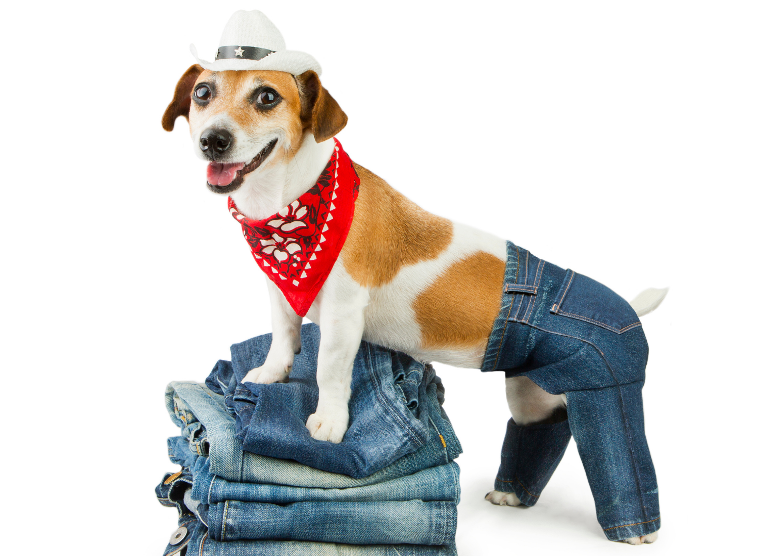 A wide variety of pet supplies for most all your critters.