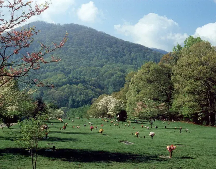 Green pasture with grazing cows below a forested mountain under a blue sky