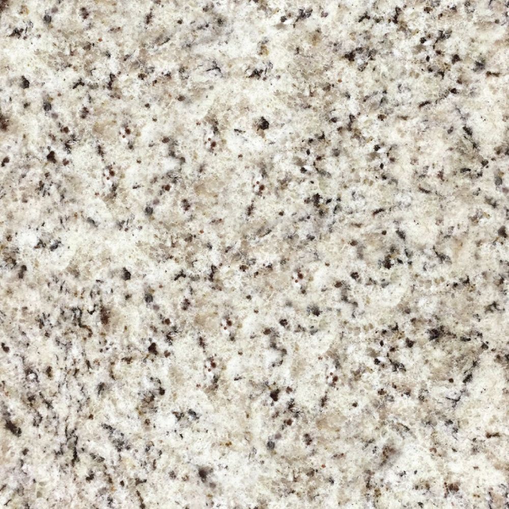 Close-up of granite surface, showing light gray background with speckled black and darker gray spots.