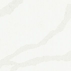 White countertop with light gray veining.