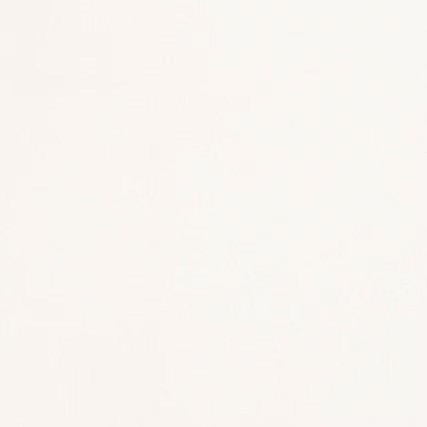 Off-white, nearly blank background with a slightly textured appearance.