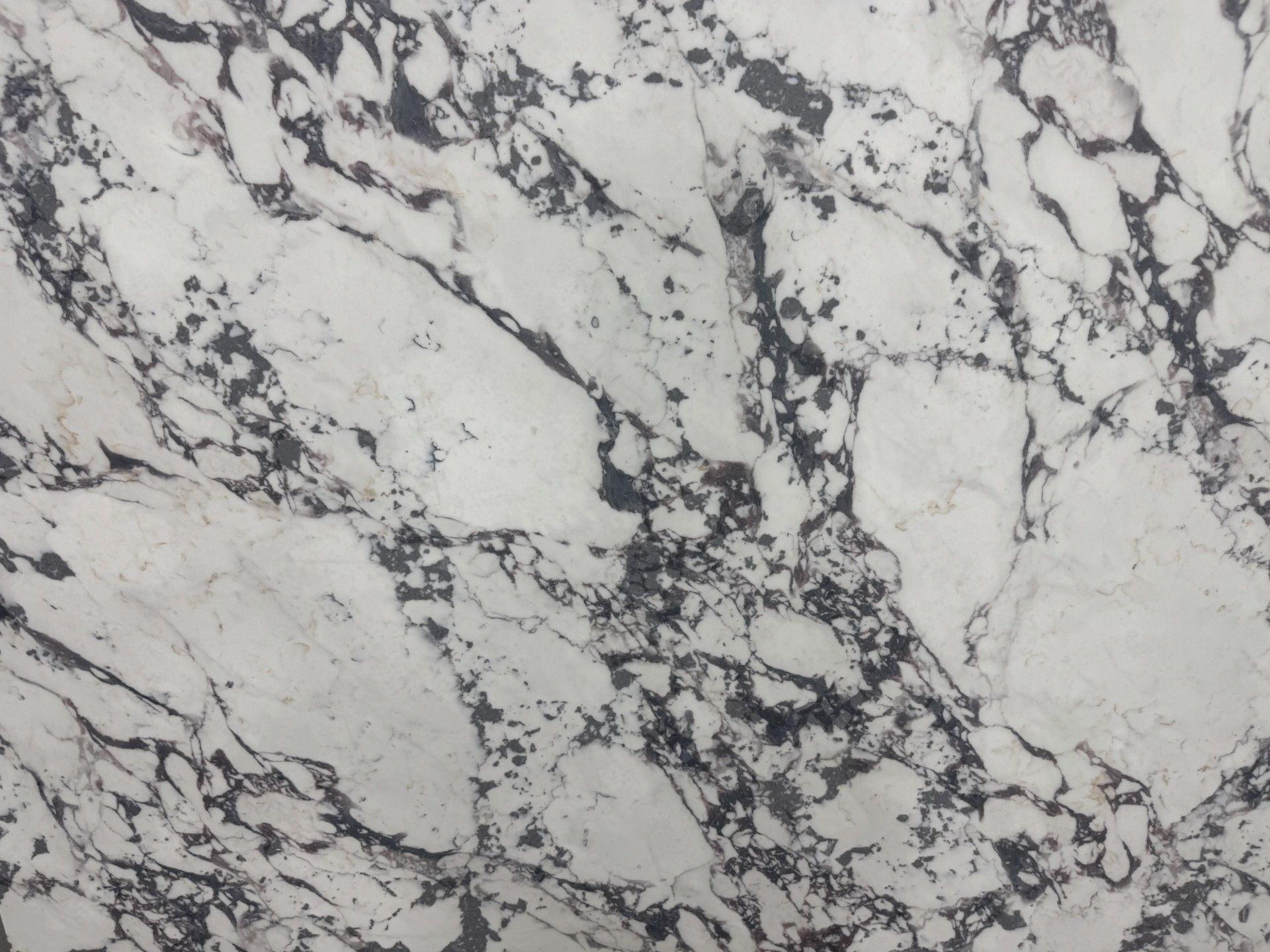 White marble countertop with dark grey veining and speckling.