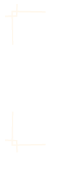 A white square with a brown border on a white background.