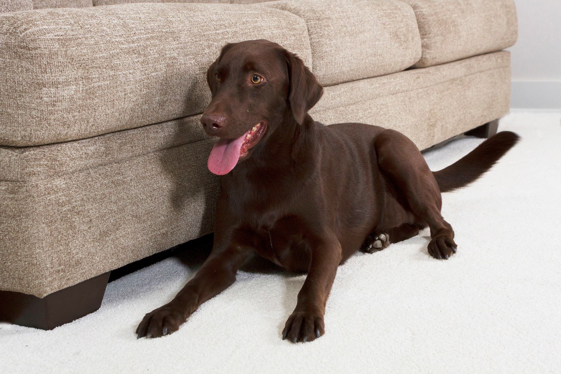 Person wearing gloves connecting gauges to an air conditioning unit.